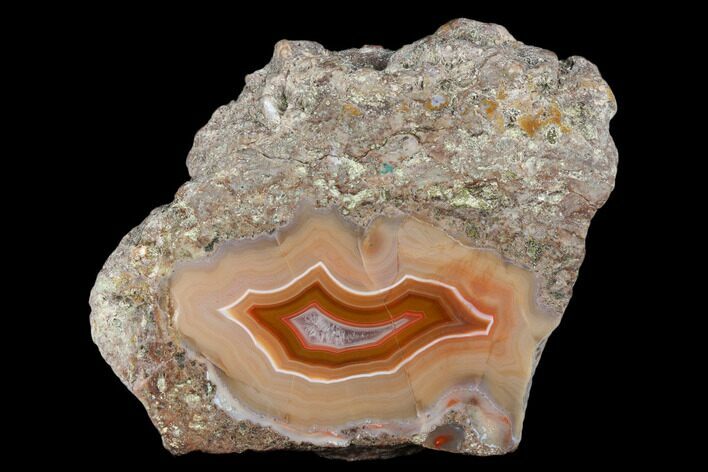 Polished Banded Agate Slice - Kerrouchen, Morocco #181385